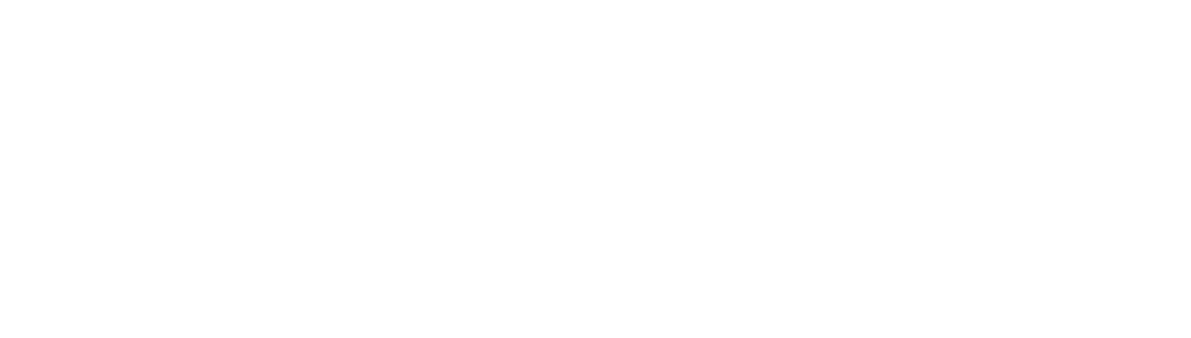 BINARIA